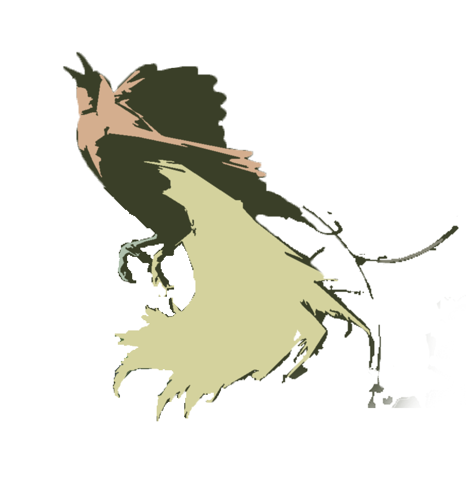 Ide Burung Kartun Png Gambar Tato Gambar Tato