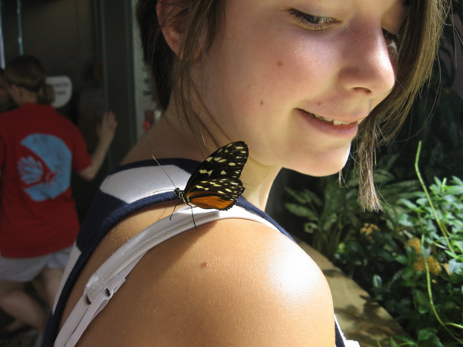 digilio designs Trip to Washington DC and the Butterfly Garden