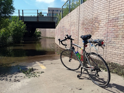 Bike by flooded trail.