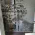 Breathe Easier & Protect Your Family by Conquering Pesky Mold Problems by Harry Cannon, with Laura Bush Jenkins