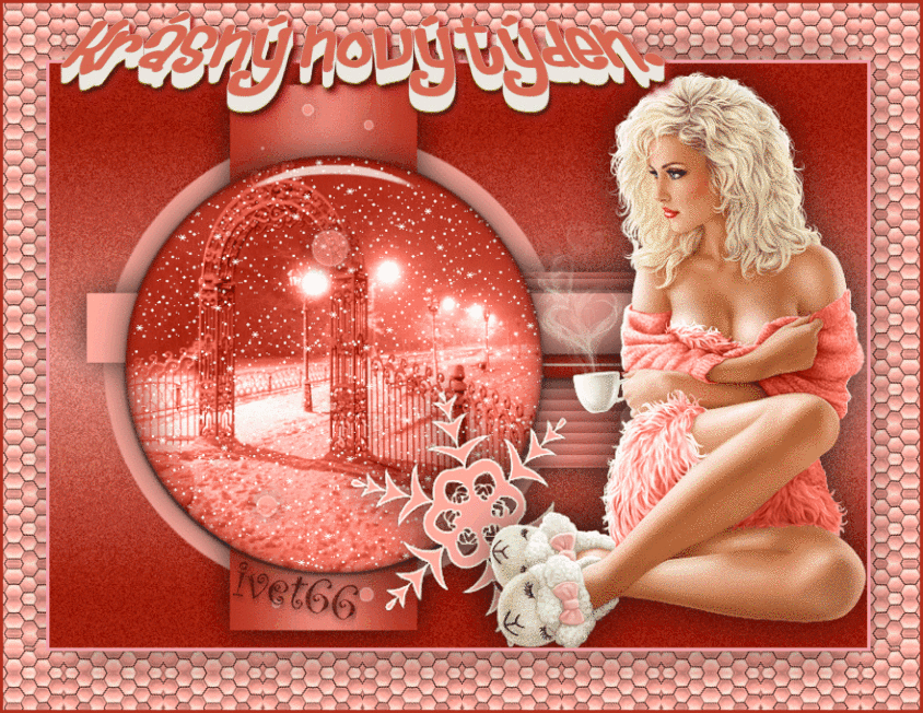 novy%2Btyden.gif