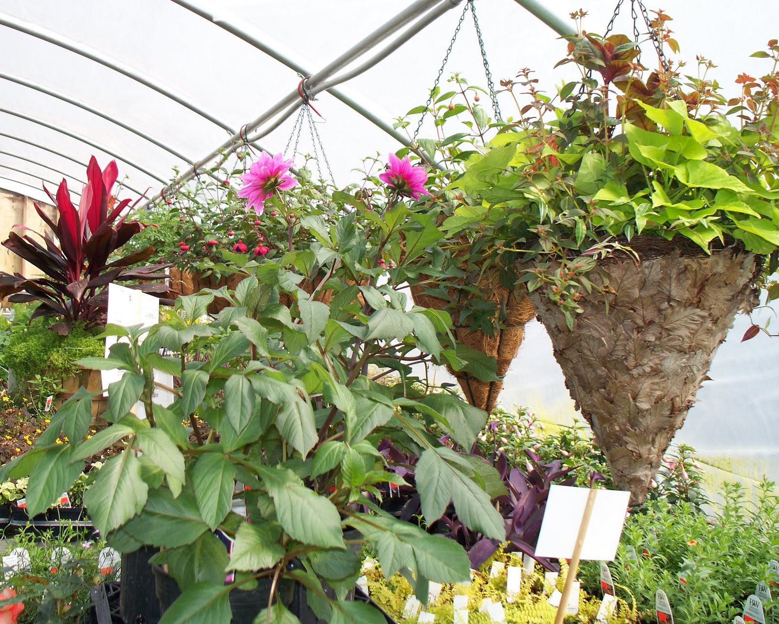 For the Love of Gardening: Spring Fling