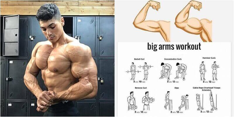Build Bigger Arms Train Biceps And Triceps Twice Per Week Bodydulding