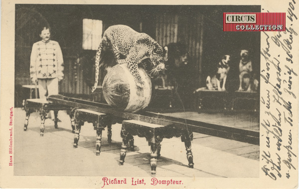 carte postale du dresseur de fauve présentant une panthère sur une boule 