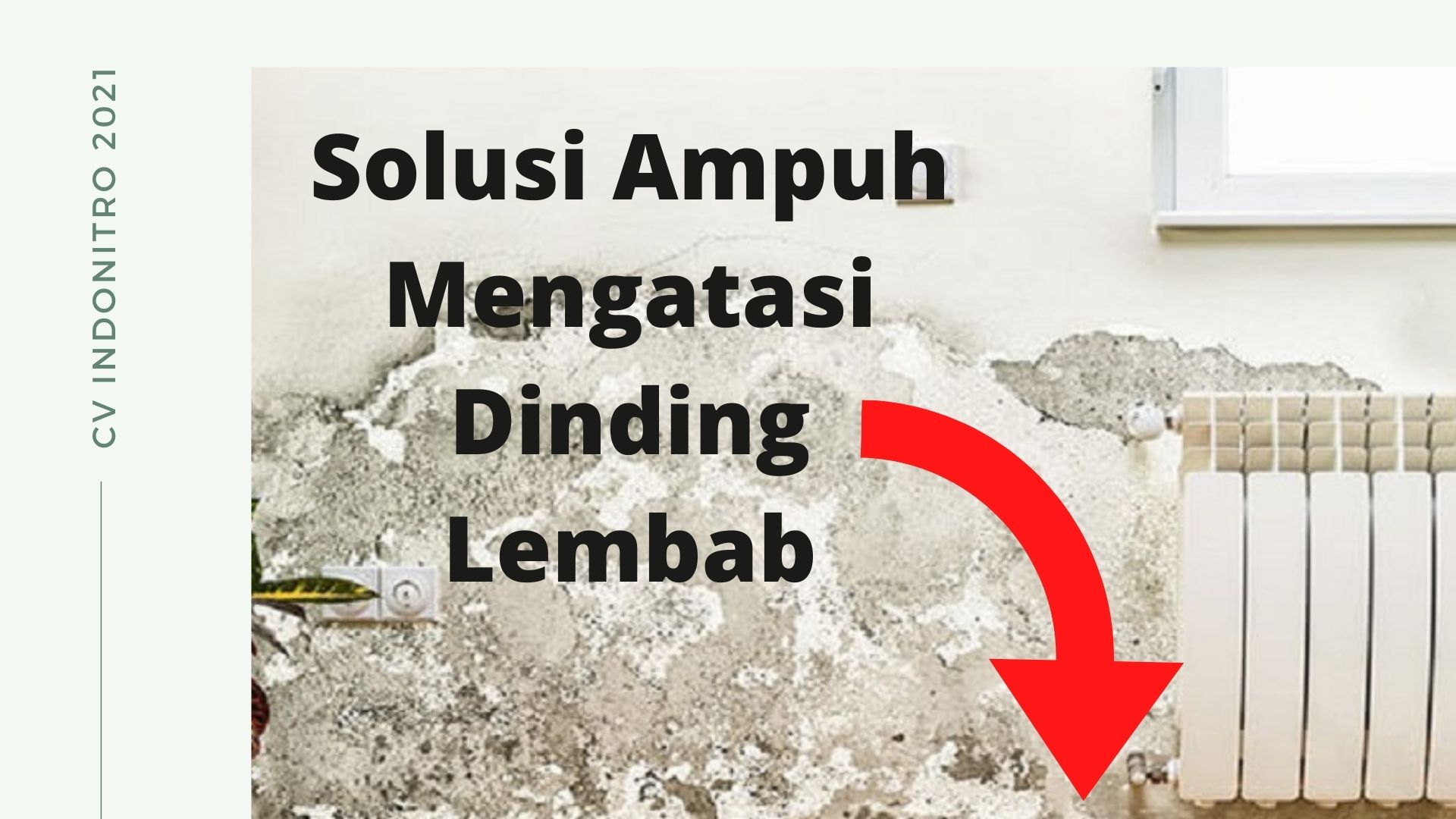 2 Cara Mengatasi Tembok Lembab Sampai Tuntas Tahapan ID