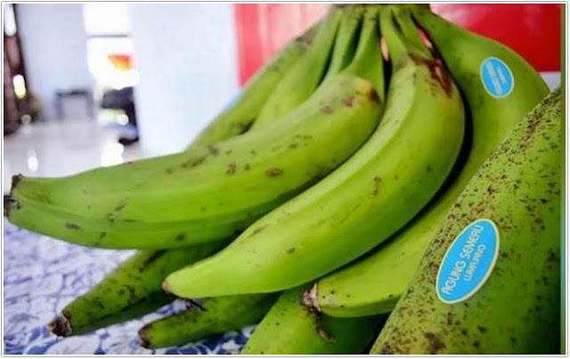 Pisang Agung Semeru Pisang Agung Semeru;10 Top Kuliner Lumajang