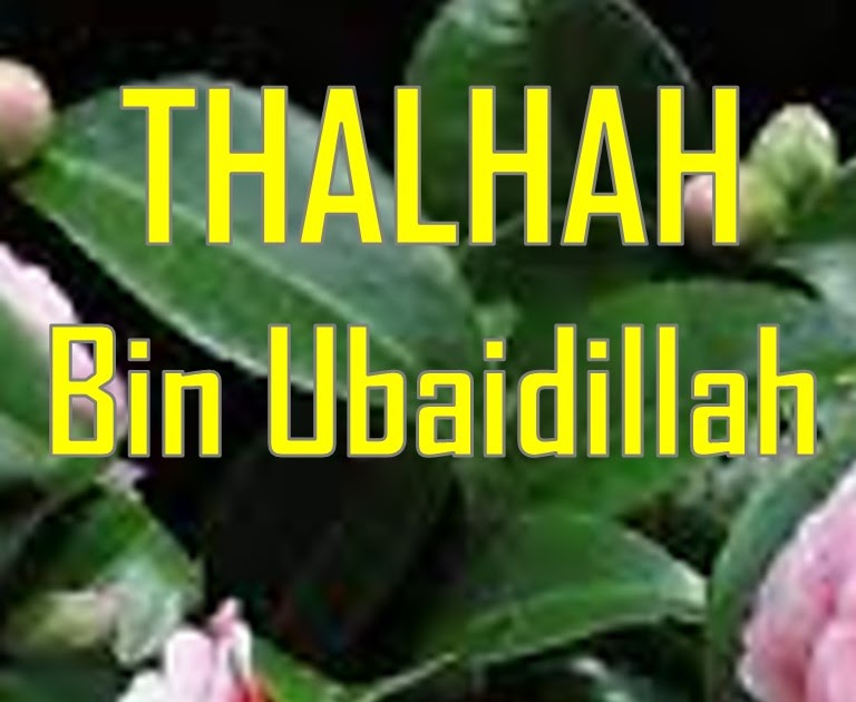 Pelajaran Agama Islam (PAI) Thalhah bin Ubaidillah Al Taimy