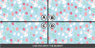 Diva quiz Answers spot the fluffy bunny