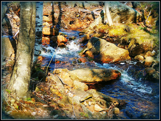 Riachuelo del Monadnock State Park (NH)