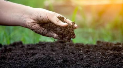 Poem on Importance of soil, Poem on Soil, Poem on mitti