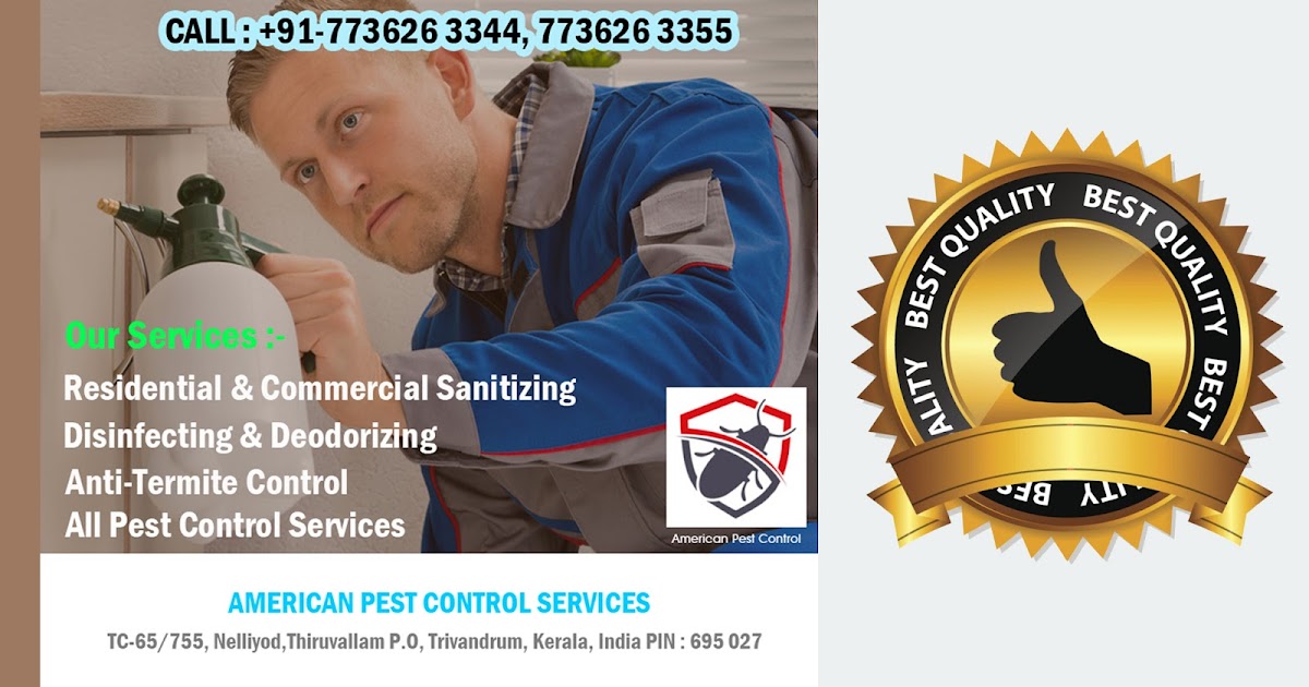 Need of Pest Control Service for Home or Office