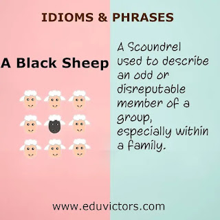 CBSE Papers, Questions, Answers, MCQ ...: A Black Sheep (English Idioms ...