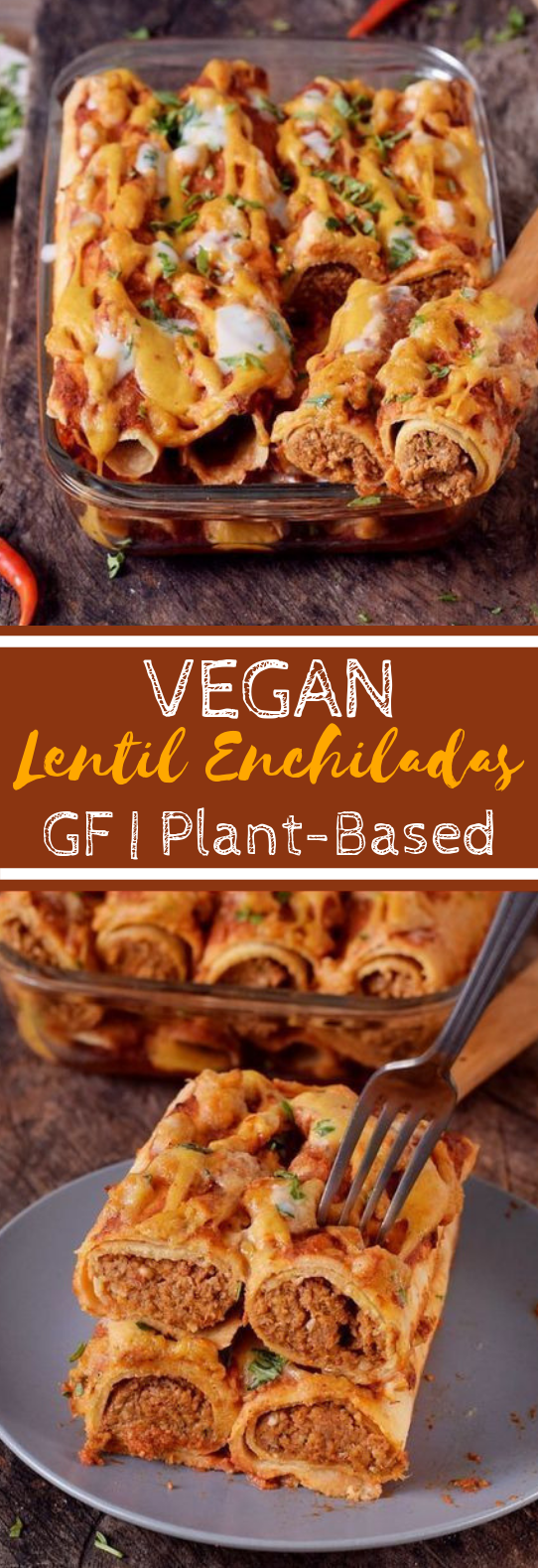 VEGAN ENCHILADAS WITH LENTILS dinner vegetarian