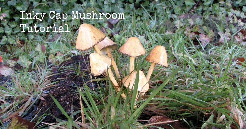 Inky Cap Mushroom Tutorial