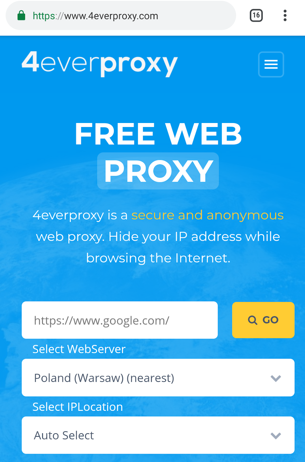 visit website proxy