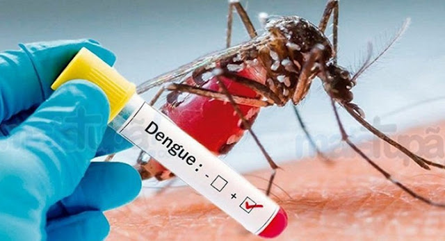 Passam de mil os casos de dengue em Iretama