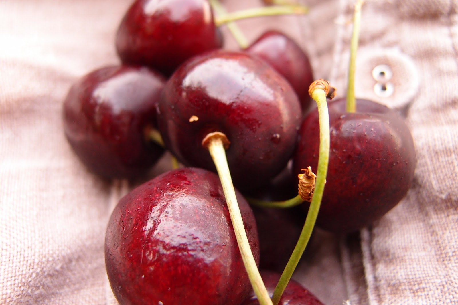The domestic novice Sweet ruby cherries