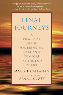 final journeys book cover