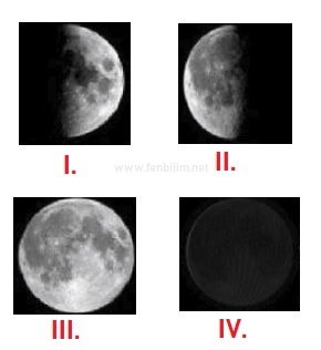5 sinif gunes dunya ve ay test fenbilim net