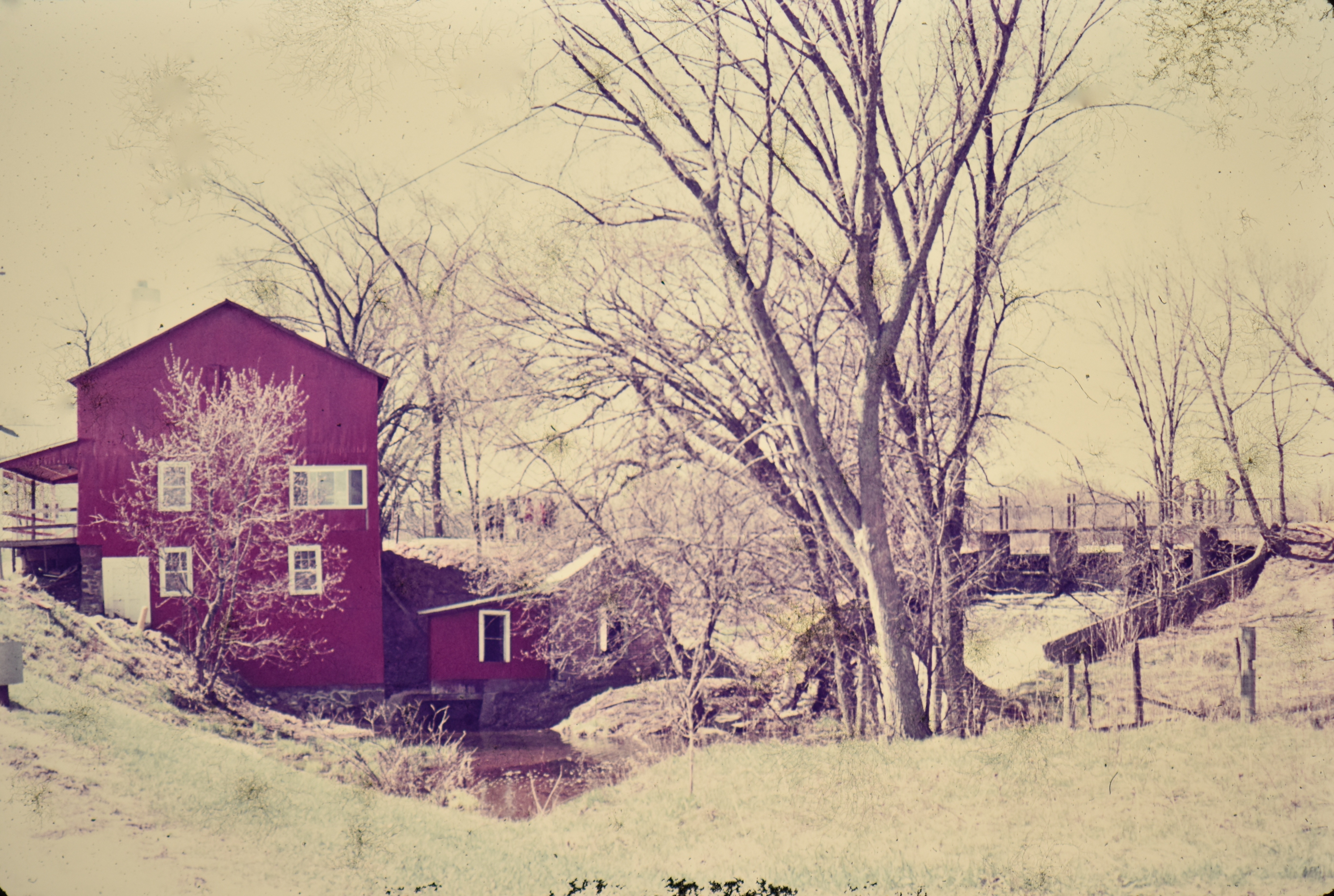 Pieces of Wild Rose, WI Area Genealogy and My Own Wild Rose Mill
