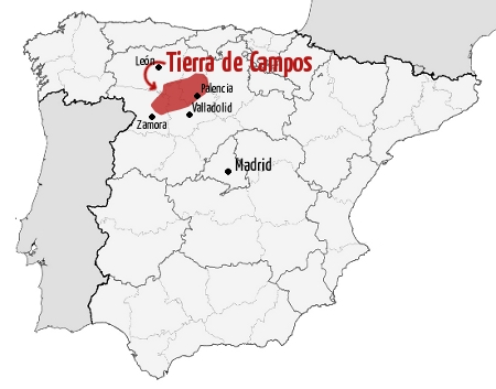 El Ágora de Tierra de Campos