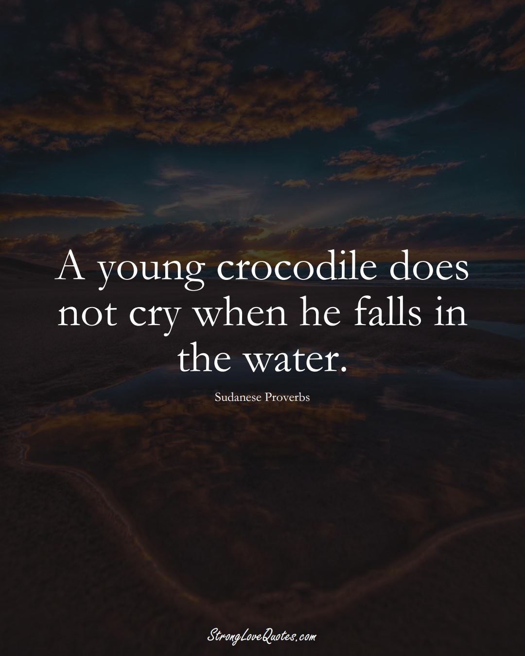 A young crocodile does not cry when he falls in the water. (Sudanese Sayings);  #AfricanSayings