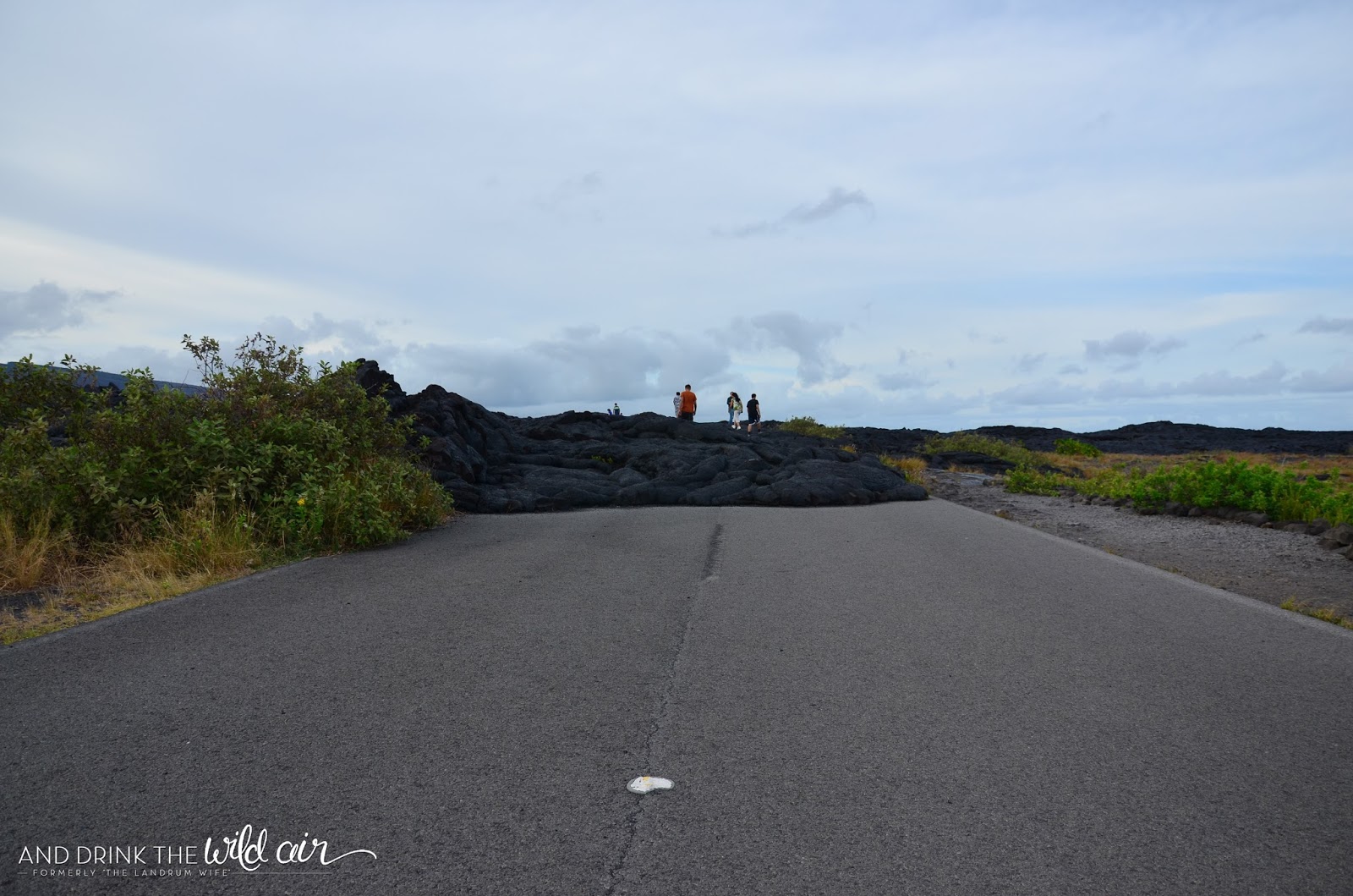 Chain Of Craters Road