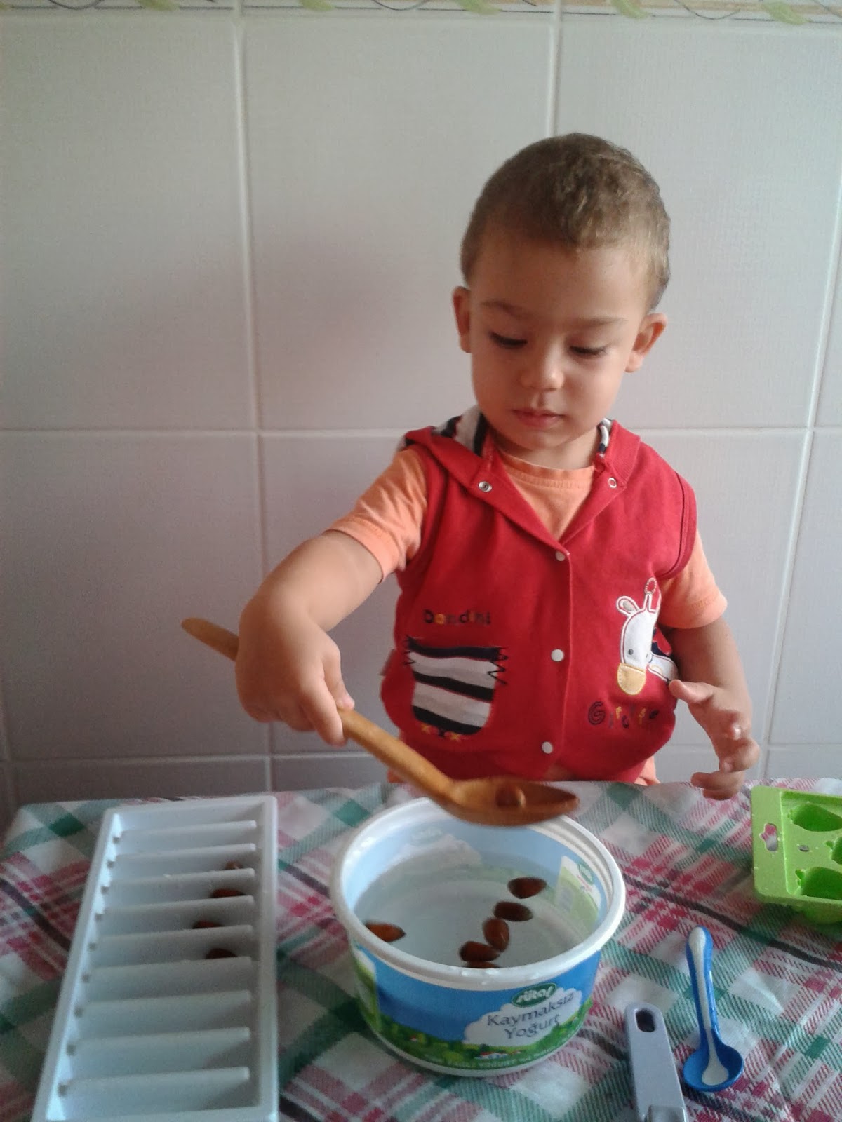 ALİ DENİZİN TARİHİNE DÜŞÜLEN NOTLAR&hellip; Montessori Kaşıkla Fındık
