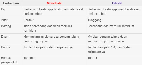 Perbedaan Monokotil Dan Dikotil Paling Lengkap Learnesiaku