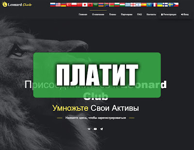 Скриншоты выплат с хайпа leonard.pro Скриншоты выплат с хайпа leonard.pro