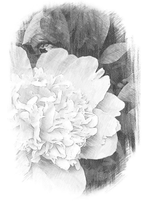 Clever Karen 10 Fun Free Photo Effect Apps