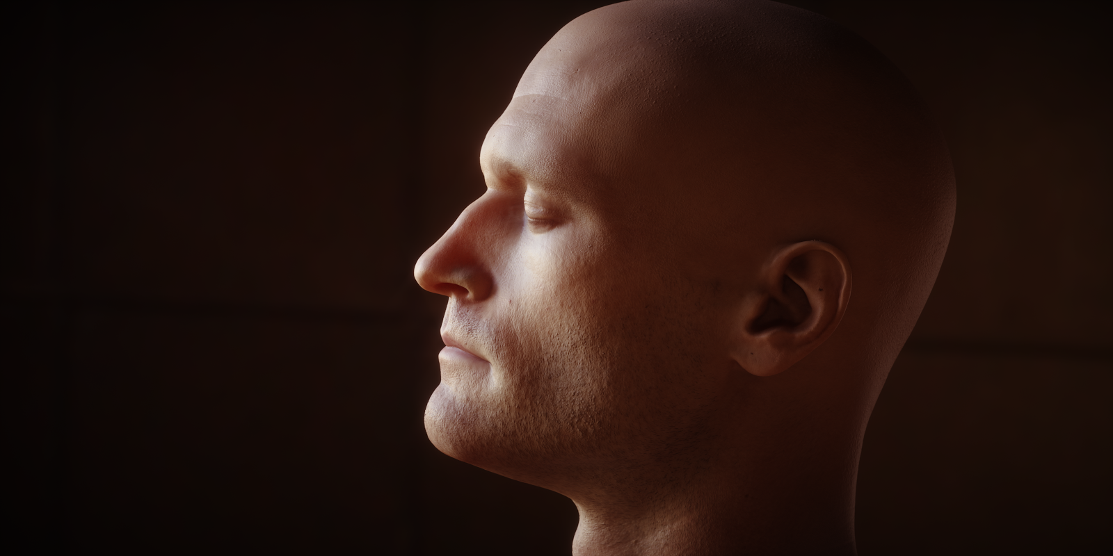 Photorealistic head with Octane Render.