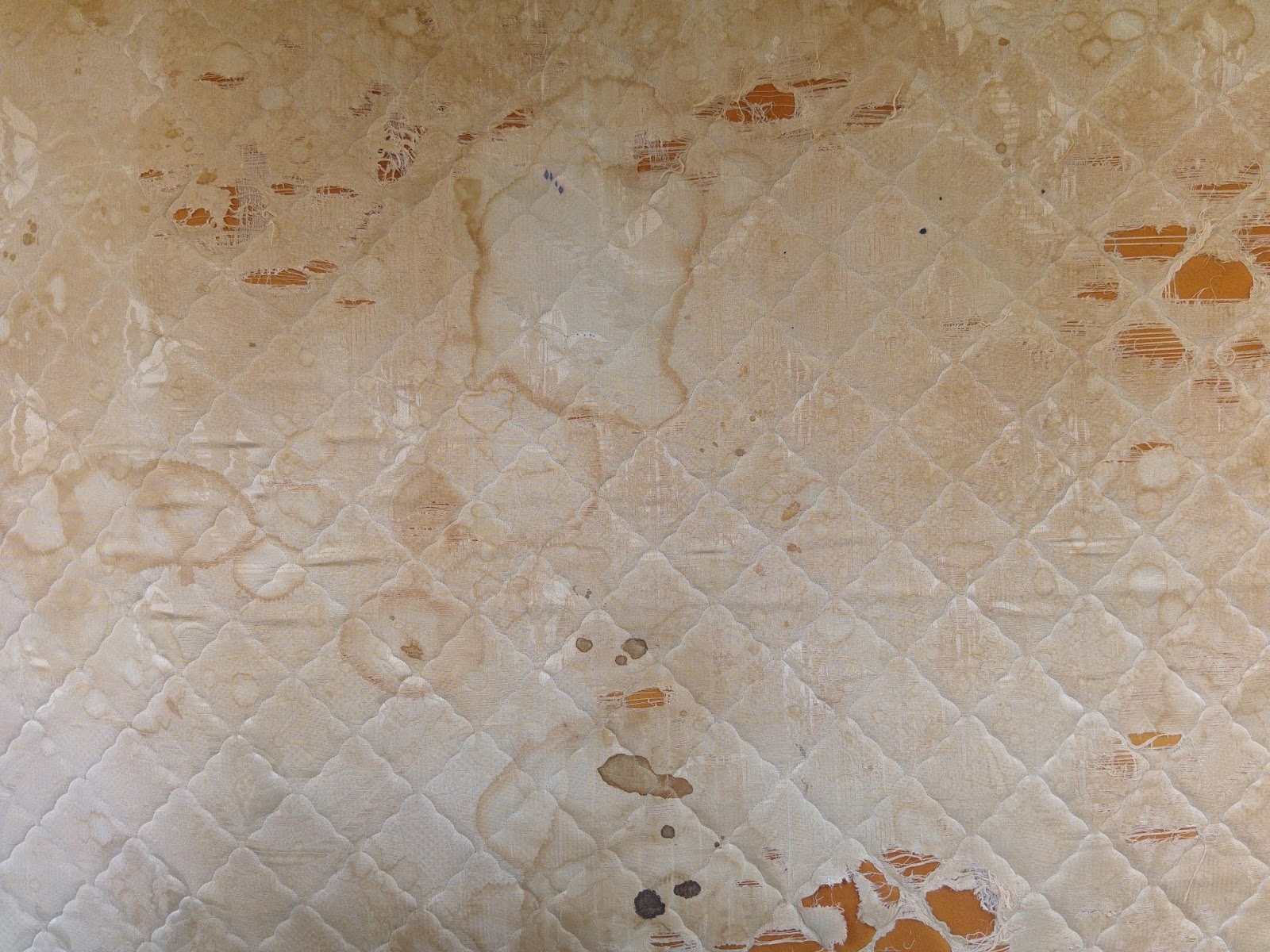 94' Pocket Spring Mattress Matthiaspeaks