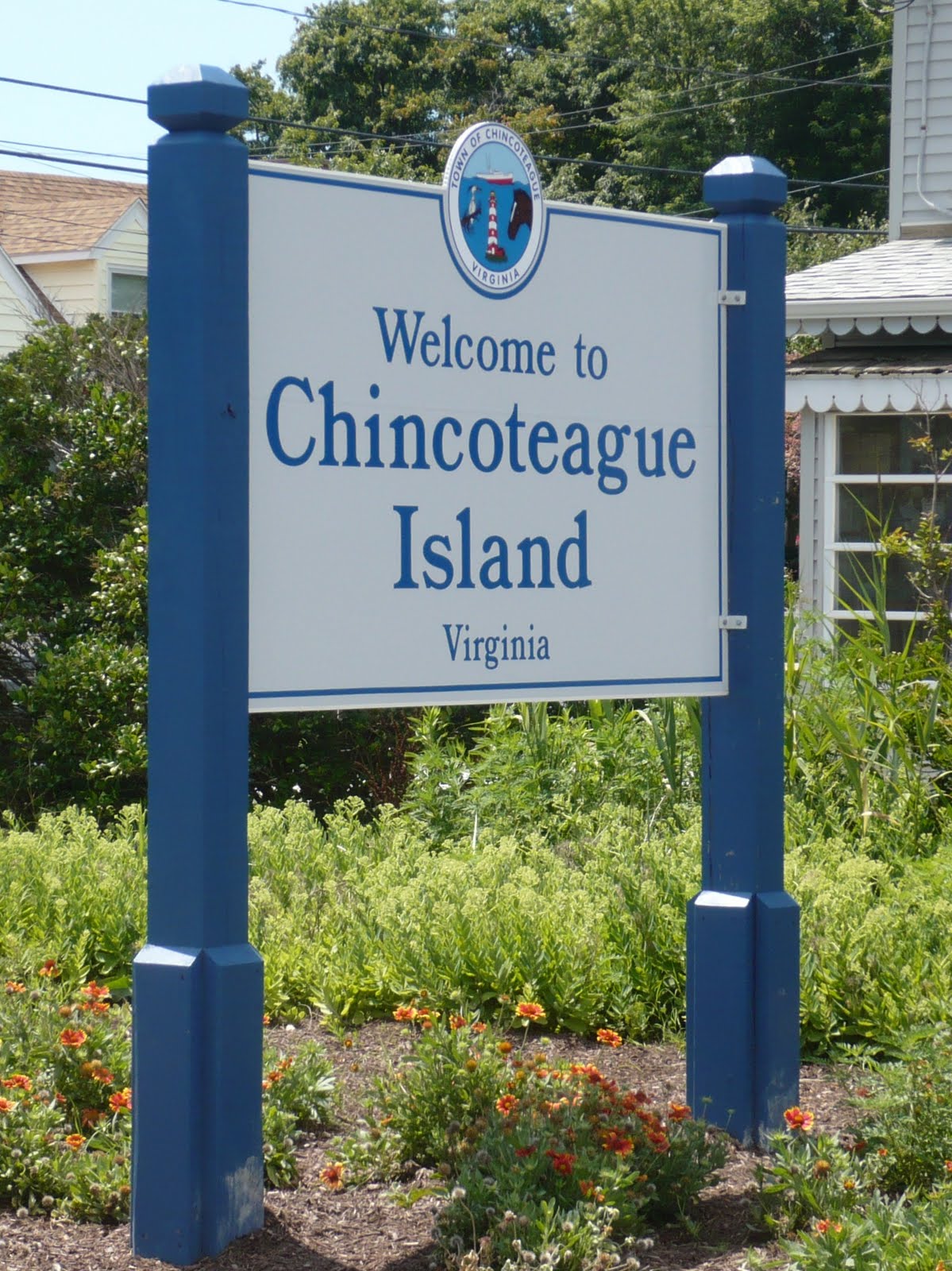 2dodges2go: 7/16/2011 – Chincoteague NWR