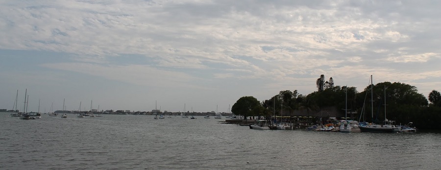 Bahía de Sarasota Bahía de Sarasota