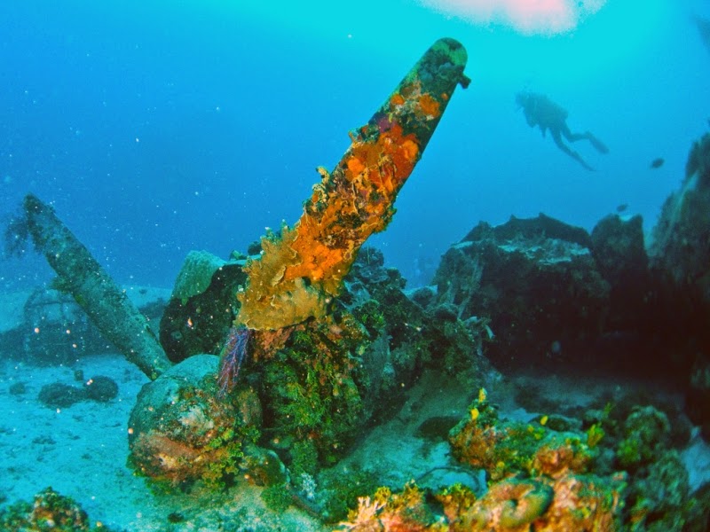 world war II wreck worldwartwo.filminspector.com