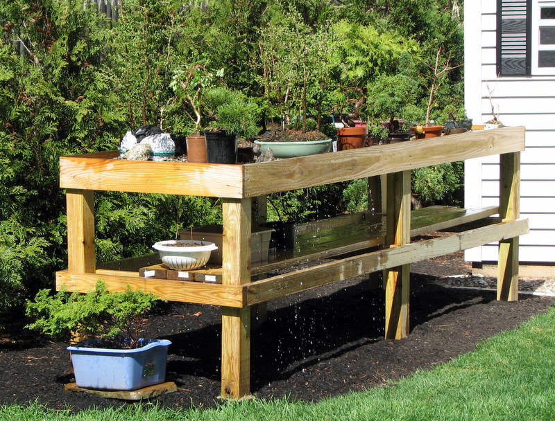 Quilting Tales D's Hobby Bonsai