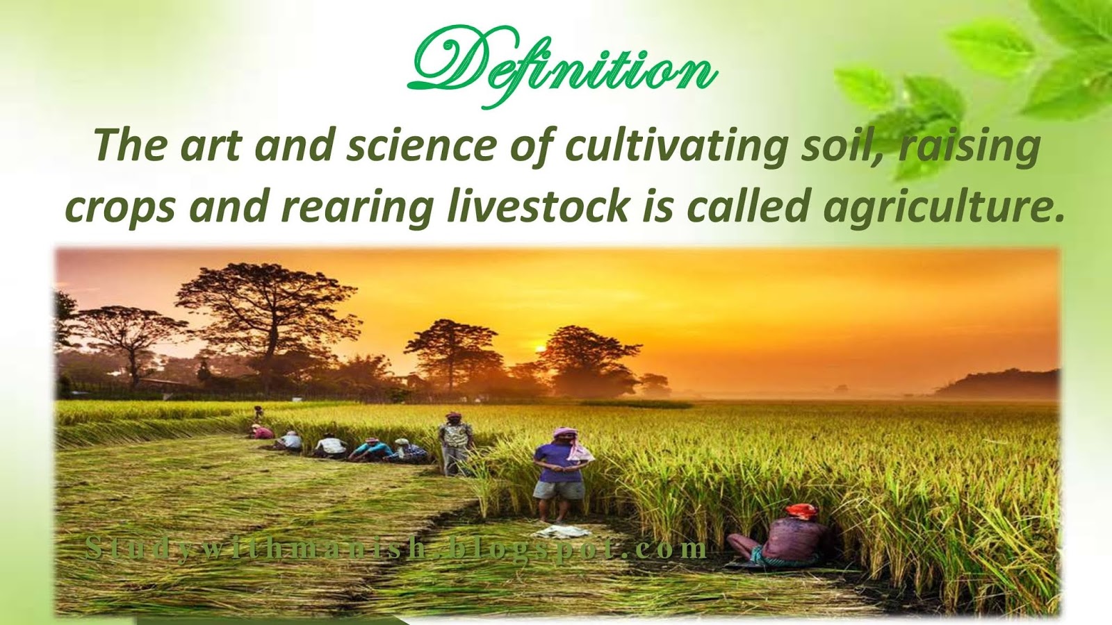 case study on agriculture ppt