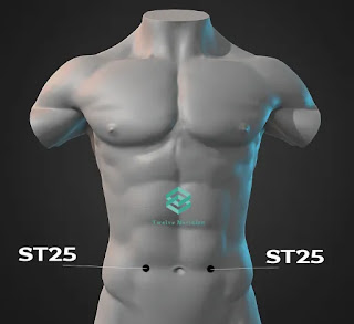 6 Best Acupressure points for quick relief from Constipation | Twelve Meridian st25-acupressure-point-for-constipation