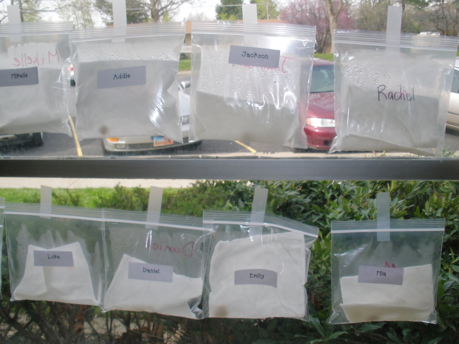 The Art of Teaching: A Kindergarten Blog: Plant Unit