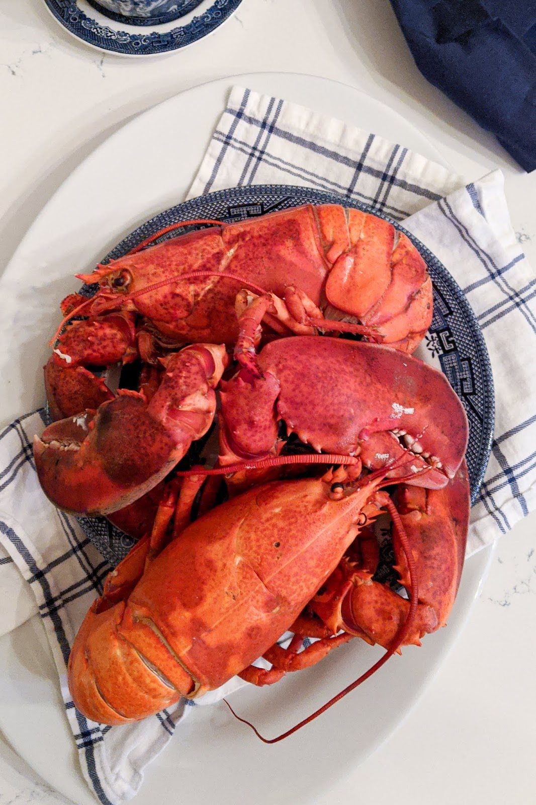 The Grower's Daughter dinner in a lobster boil