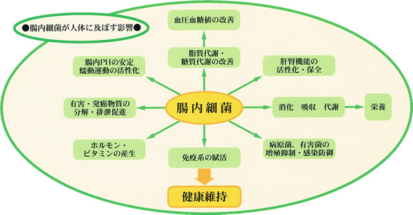 清貧の哲学と知恵で自然から多くを学び孤高に生きる!支配管理社会よサヨウナラ ・半隠遁から悟りへの暮らしへ