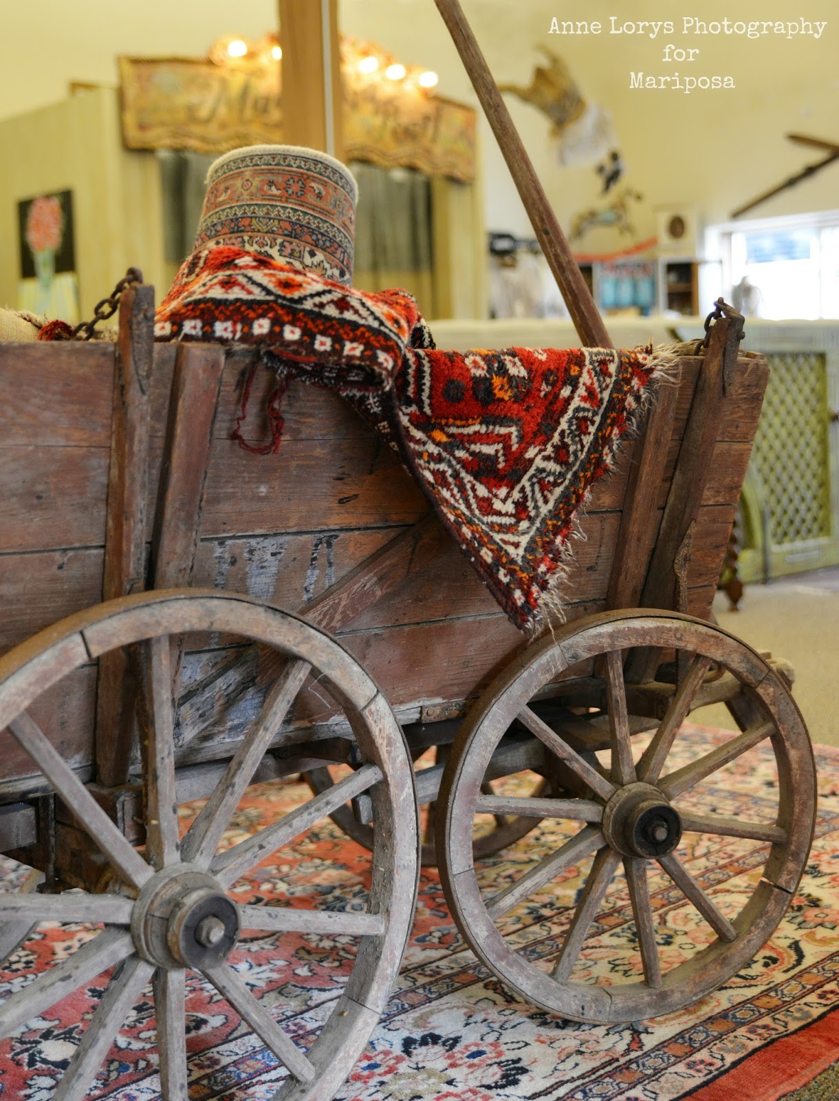 Fiona and Twig Introducing Mariposa Boutique