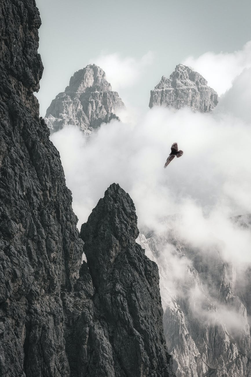 Motivational story Context - Rebirth of the eagle Motivational story Context - Rebirth of the eagle
