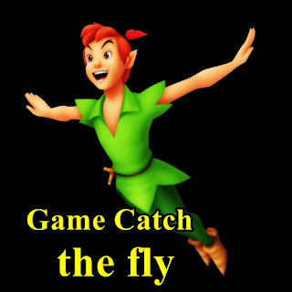 Game Catch the fly