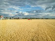 Harvesting in Finland