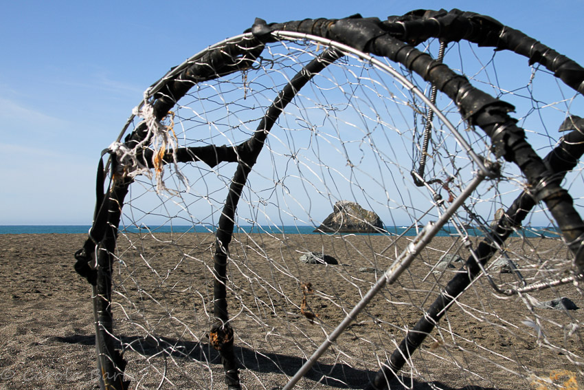 carola bARTz The Lonesome Crab Cage