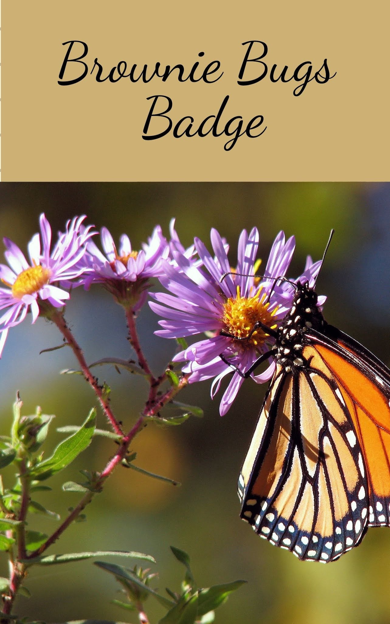 A Girl Scout Leader's Journal Brownie Bugs Badge