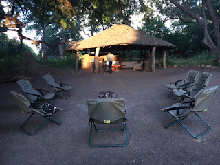 safari, teltta