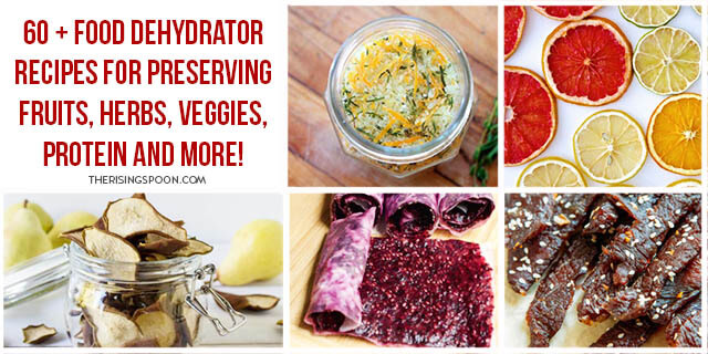 100+ Dehydrator Recipes ~ Food Dehydrator Recipes for Fruit, Veggies, Meat  & More